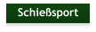 Schießsport